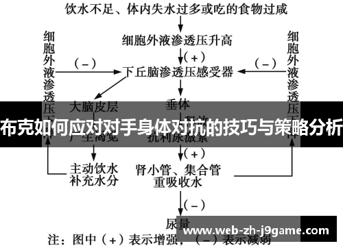 布克如何应对对手身体对抗的技巧与策略分析 布克如何应对对手身体对抗的技巧与策略分析