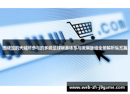 围绕加的夫城所参与的多级足球联赛体系与发展脉络全景解析纵览篇