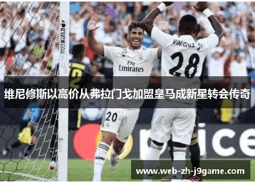 维尼修斯以高价从弗拉门戈加盟皇马成新星转会传奇